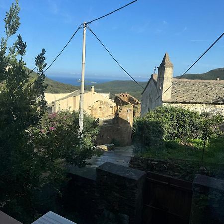 Joli T2 In Cap Corse Appartement Ersa Buitenkant foto
